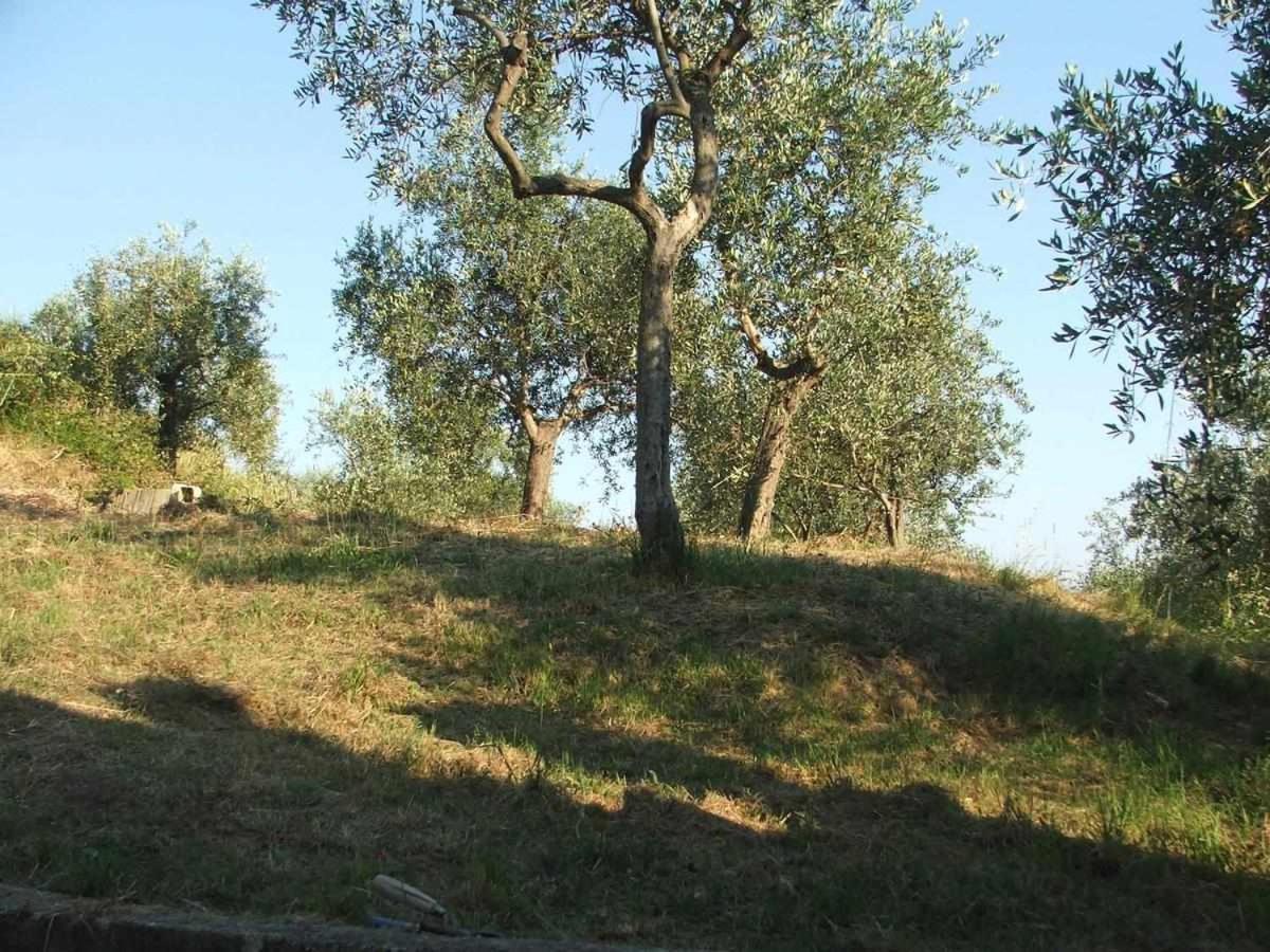 La Casetta Di Sofia * Moneglia