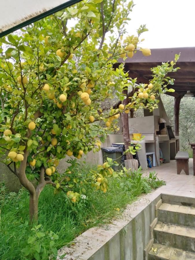 La Casetta Di Sofia Holiday home