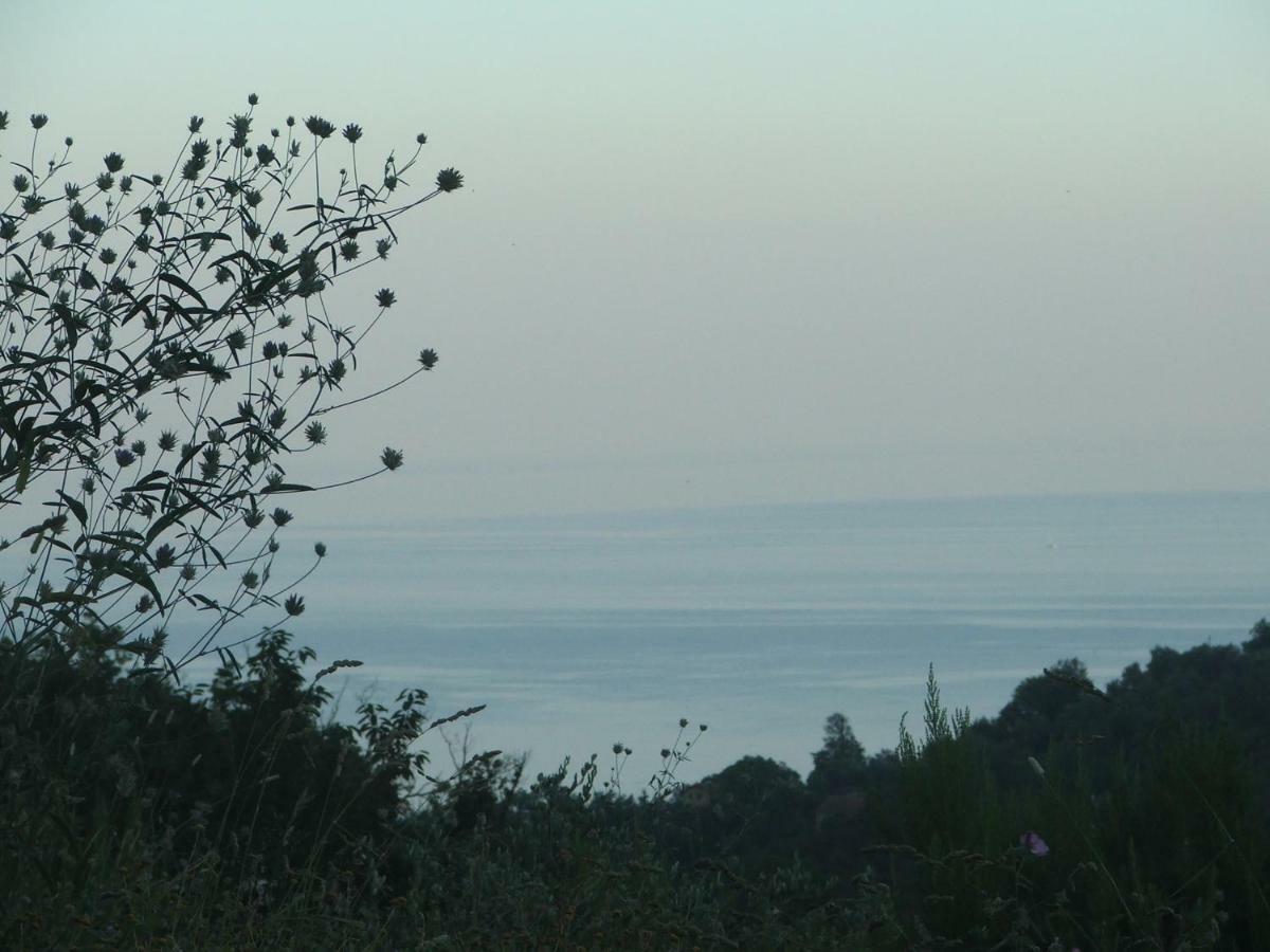 Holiday home La Casetta Di Sofia *